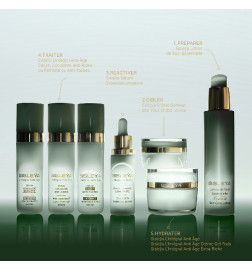 SISLEŸA L'INTÉGRAL ANTI-ÂGE CRÈME GEL FRAIS SISLEŸA L'INTÉGRAL ANTI-ÂGE CRÈME GEL FRAIS
